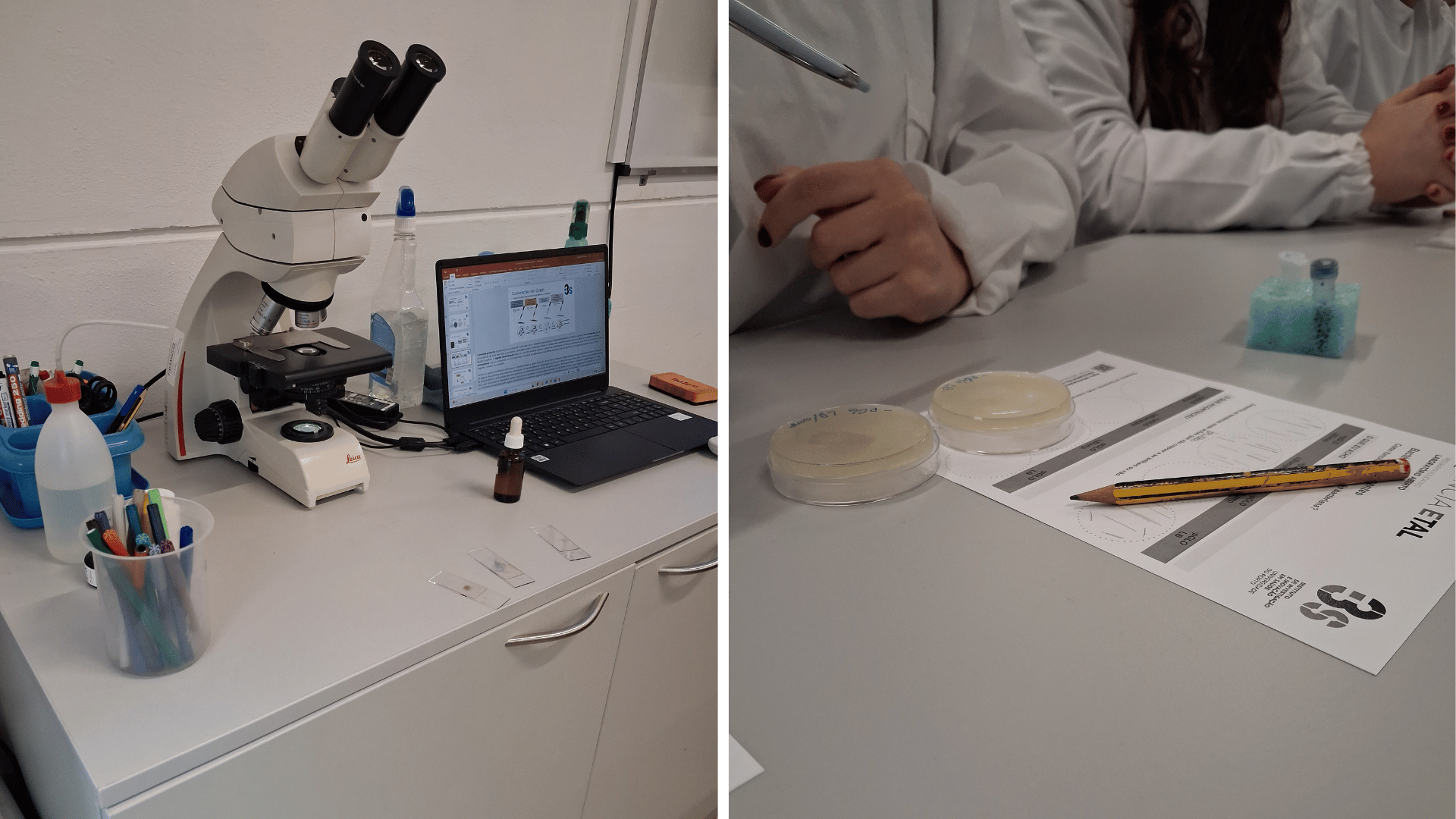 Aula Prática de biologia e Geologia no Laboaratório Aberto, i3S, Porto