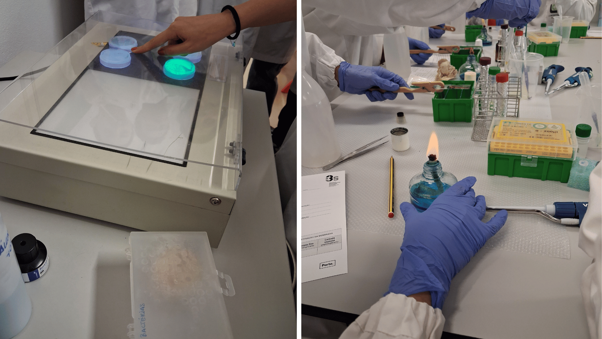 Aula Prática de biologia e Geologia no Laboaratório Aberto, i3S, Porto